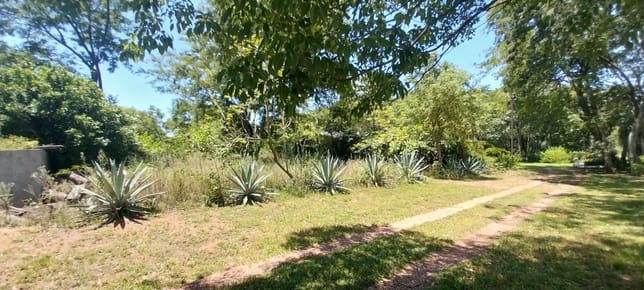Terreno en Venta en Condominio Privado Costa Alta en Villa Elisa