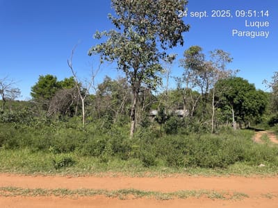 Oferto terrenos en Limpio, Zona Isla Aranda a 700m de Avenida Principal