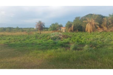 Venta