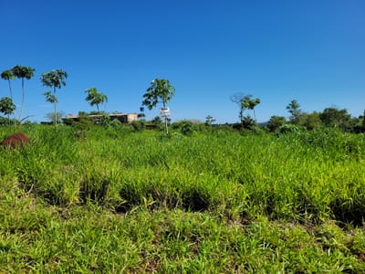 Vendo Terreno Km 12 Acaray CDE Por: 45 Millones Esta a 6 Km De La Ruta N 2