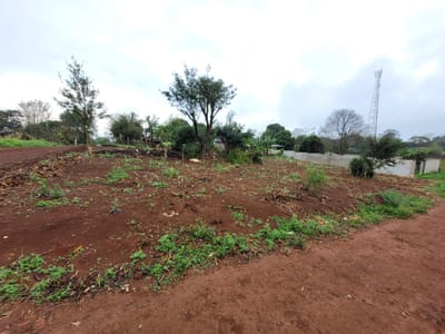 Vendo Terreno Km 14 Monday Minga Guazu, Por: 75 Millones Es Esquina