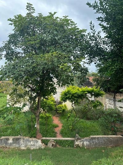 VENDO HERMOSO TERRENO EN LAMBARE LIMITE CON ASUNCION
