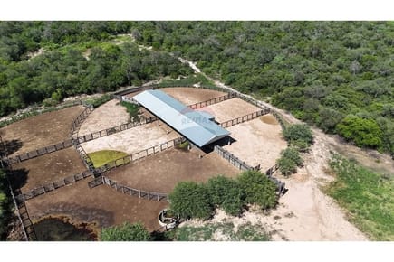 Vendo Campo en Mcal. Estigarribia Chaco La Gerenza    J.A.