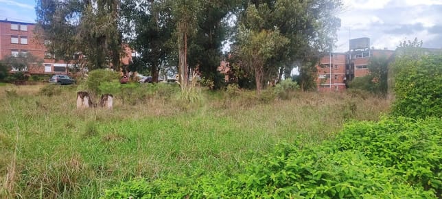 Terreno sobre Ruta 8, Km 120.