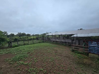 Exclusiva Estancia Ganadera/Agrícola en Venta en Mariscal José Félix Estigarribia, Boquerón. Propiedad de 1.918 Hectáreas con 150 Hectáreas de Construcción, 2 Dormitorios y 1 Baño. Campo con Monte Alto y Potencial Productivo Excepcional. Precio: US$ 2.877