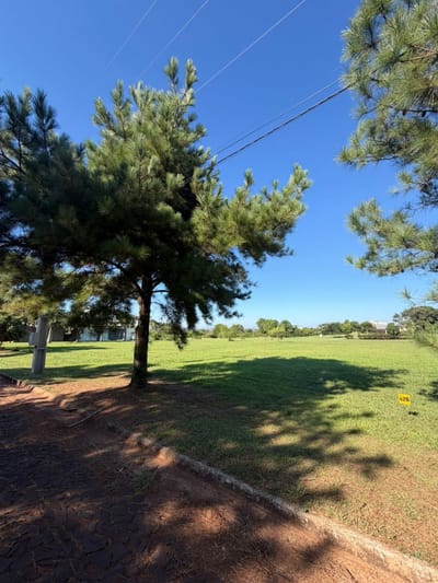 ?VENTA DE TERRENOS EN AGUA VISTA-ENCARNACION