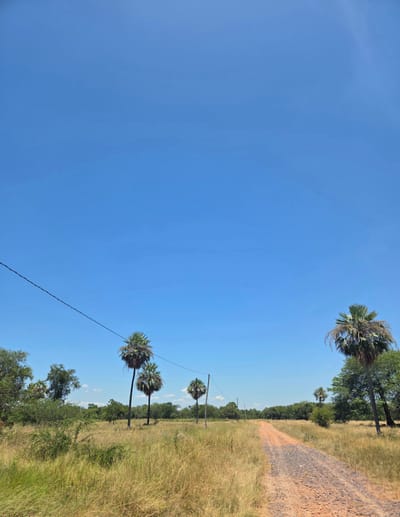 EN VENTA - 6 LOTES JUNTOS EN CHACO'I