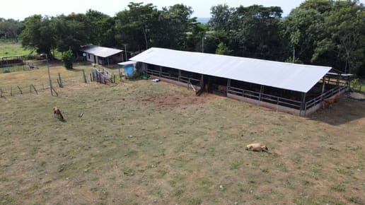 VENDO GRANJA PRODUCTIVA DE 8HAS EN NUEVA ITALIA