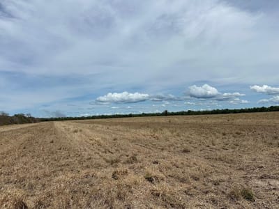 CHACO PARAGUAYO: ESTANCIA PRODUCTIVA DE 19.800 HECTÁREAS EN AGUA DULCE ALTO PARAGUAY