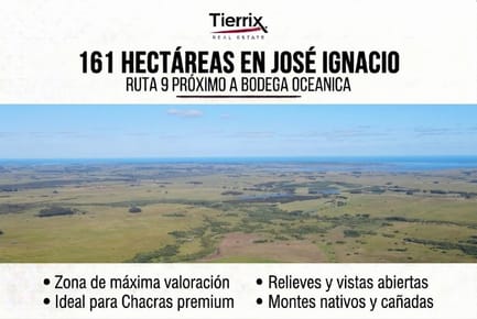 VENTA CAMPO EN JOSÉ IGNACIO 161 HA EN RUTA 9 PRÓXIMO A BODEGA OCEÁNICA