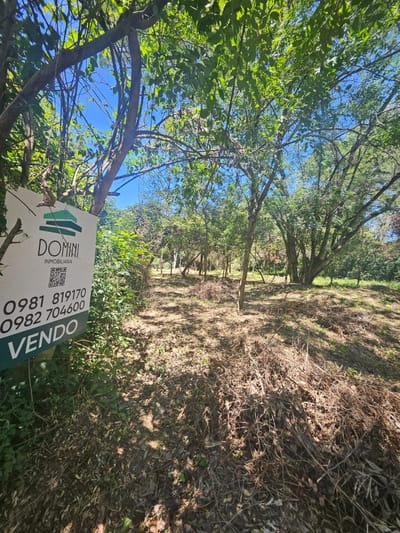 Vendo terreno en Sanber bien ubicado en zona Anfiteatro
