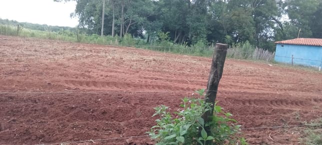 Terreno detrás de la fábrica de Agua’i en itaugua