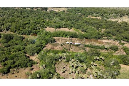 Estancia ganadera de 2.895 HA en venta, Benjamin Aceval