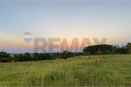 Estancia en venta 2.233 HAS en Caazapá