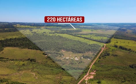 VENDO Estancia  – 220 Hectáreas  Santaní JG