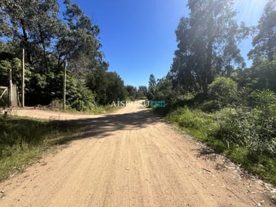 Terrenos en Venta con gran superficie Rincon del Indio Punta del Este