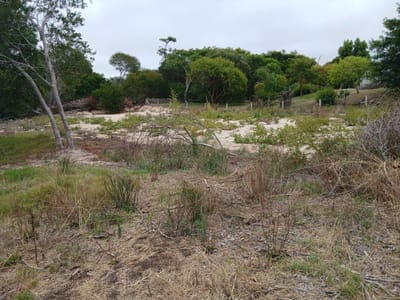 Excelente terreno esquina, limpio,  listo para construir en La Paloma, Rocha