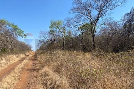Campo en venta – 2.017 ha. en Bahía Negra.
