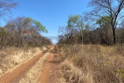 Estancia en Venta - Bahía Negra, Alto Paraguay: Oportunidad de Inversión de 2.017 ha. en el Chaco Paraguayo con Gran Proyección y Versatilidad Productiva.