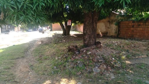 VENDO HERMOSO TERRENO EN BARRIO JARA A PASOS DE DISTRITO PERSEVERANCIA