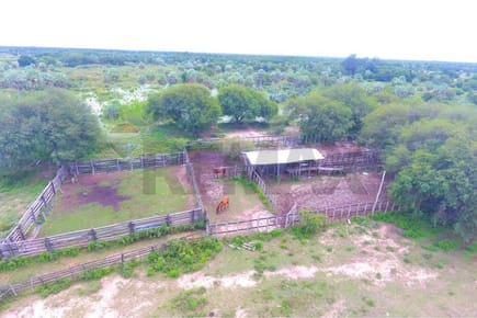 ESTANCIA SOBRE RUTA TRANSCHACO KM 130 - DEPARTAMENTO DE PRESIDENTE HAYES - DISTRITO BENJAMÍN ACEVAL EN VENTA (669 HAS)