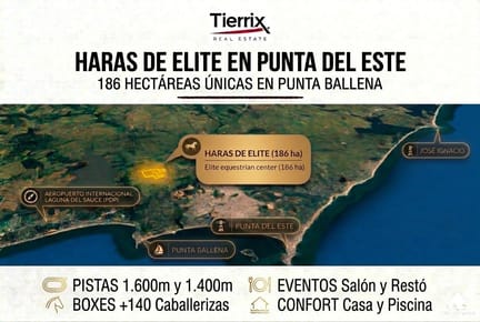 VENTA CAMPO EN PUNTA DEL ESTE HARAS DE ÉLITE  CON 186 HA DE INFRAESTRUCTURA PROFESIONAL / ELITE EQUESTRIAN CENTER AND STUD FARM IN PUNTA DEL ESTE – 186-HECTARE PROFESSIONAL INFRASTRUCTURE