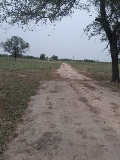 ESTANCIA FORMADA DE 6.709 EN PRESIDENTE HAYES (C.L.)