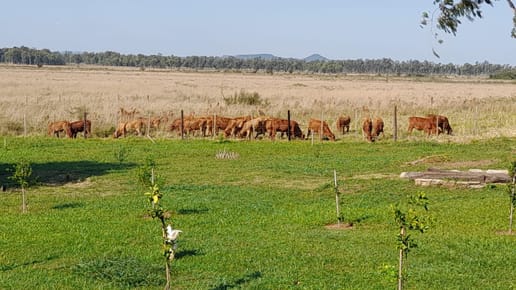 Estancia Life Style en Guarambaré: Un Oasis de Naturaleza y Confort