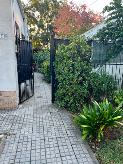 Venta de dos casas en un padron, gran terreno