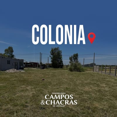 Terreno en venta en el departamento de Colonia. Sobre calle Pedro Oliari e/ Las Palmeras y Los Eucaliptus.