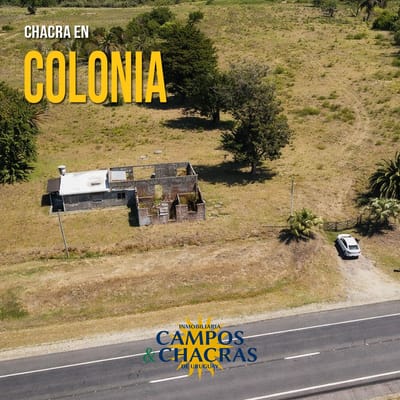 Venta de Chacra en Arrivillaga departamento de Colonia.