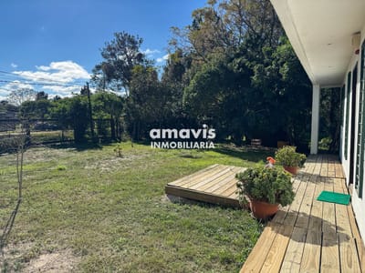 El Pinar Sur // Gran padrón próximo al arroyo