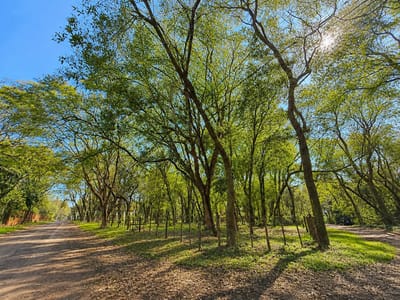 Vendo Terreno en Surubi'i - 2.700 m2