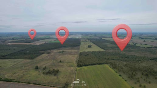 VENTA | Campo forestal-ganadero de 355Hás en Fray Marcos , Florida