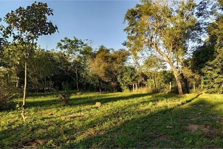 Terreno Nueva Colombia, Cordillera