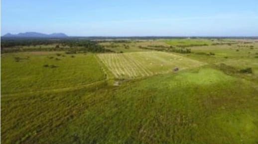 Vendo Campo Ganadero de 370 hectareas a Tranquera Cerrada, Dpto de Cordillera. COD 002