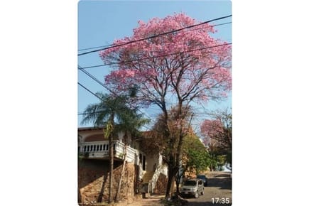 Terreno en venta en barrio ciudad nueva