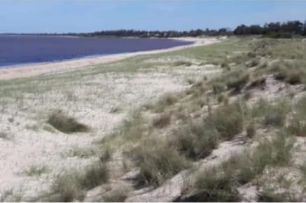 197 hectáreas con 2500 de playa sobre el Río de la Plata