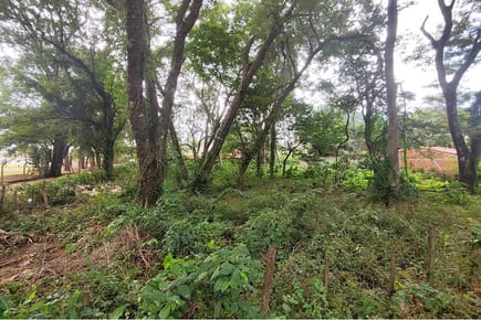 Terreno-Venta-Coronel Martinez, La Concordia Monseñor Bogarín, Mariano Roque Alonso, Central