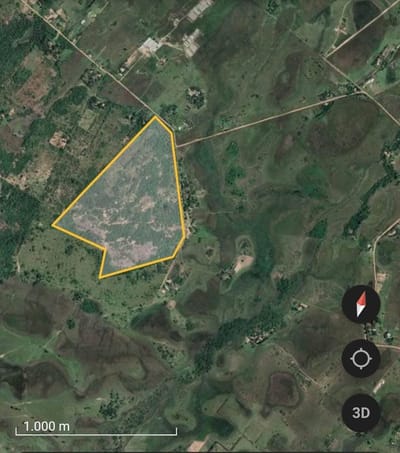 ? EN VENTA: Hermosa Propiedad de 37,4 Hectáreas en Loma Grande