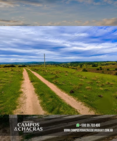 Campo en venta de 22 hectáreas en el entorno privilegiado de Pueblo Garzón, departamento de Maldonado.