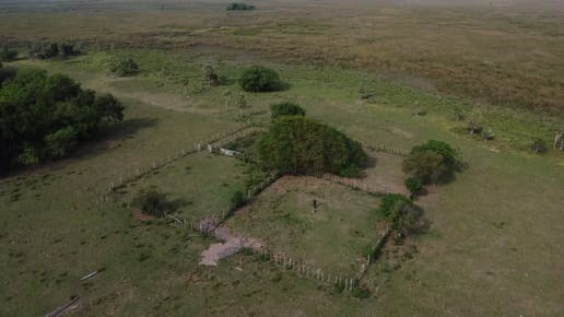 GRAN PROPIEDAD RURAL EN TACUARAS, ÑEEMBUCU Superficie: 1215 hal