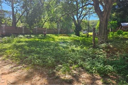 Terreno Exclusivo en San Bernardino: 506 m² Listos para Construir y Desarrollar tu Proyecto Ideal.