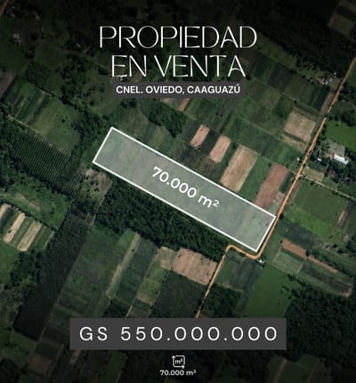 7 Hectáreas En Coronel Oviedo