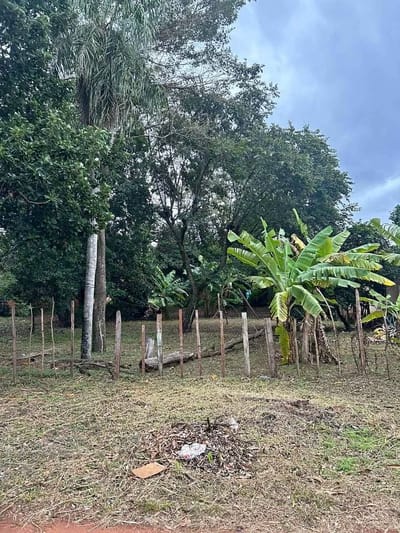 Terreno en Ypane 