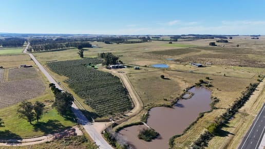 Chacra de 12 hectareas y 6 dormitorios  en José Ignacio. Oportunidad Unica!!!