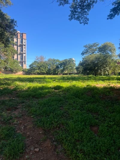 Terreno 6.814 m2 Mburucuyá Sobre Av Primer Presidente 