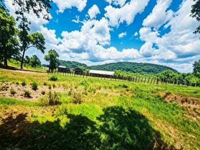 Estancia en venta