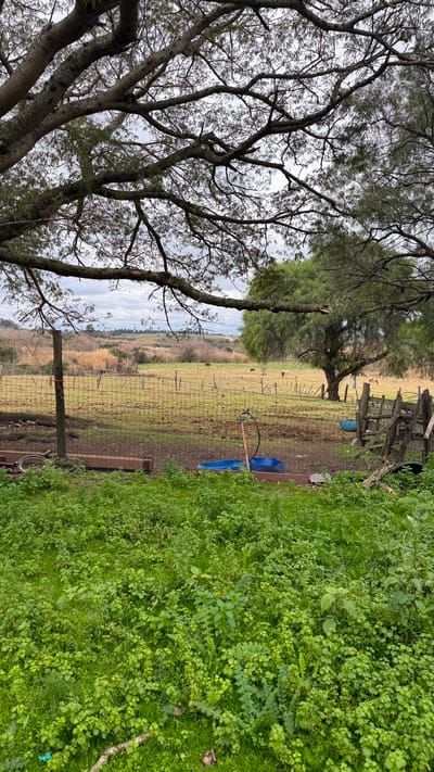 Terreno rural con vivienda en alquiler Manga