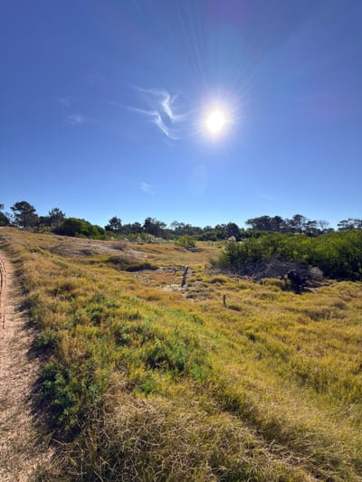 La Viuda: Terreno Esquinero en Zona de Gran Proyección y a Metros del Mar